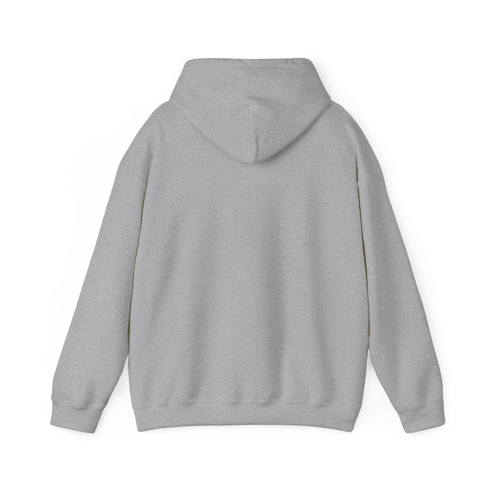 Sun-Bleached Prairie Patch Hoodie