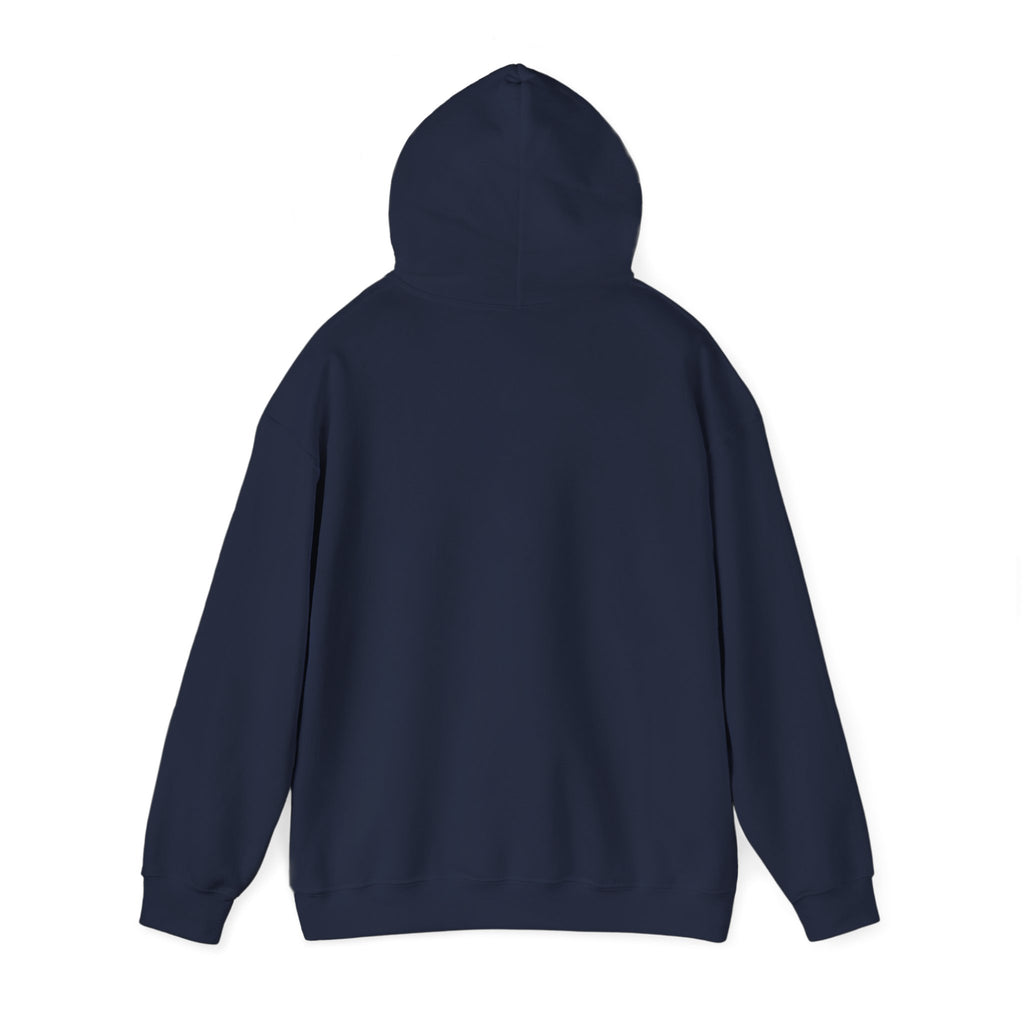 Sun-Bleached Prairie Patch Hoodie