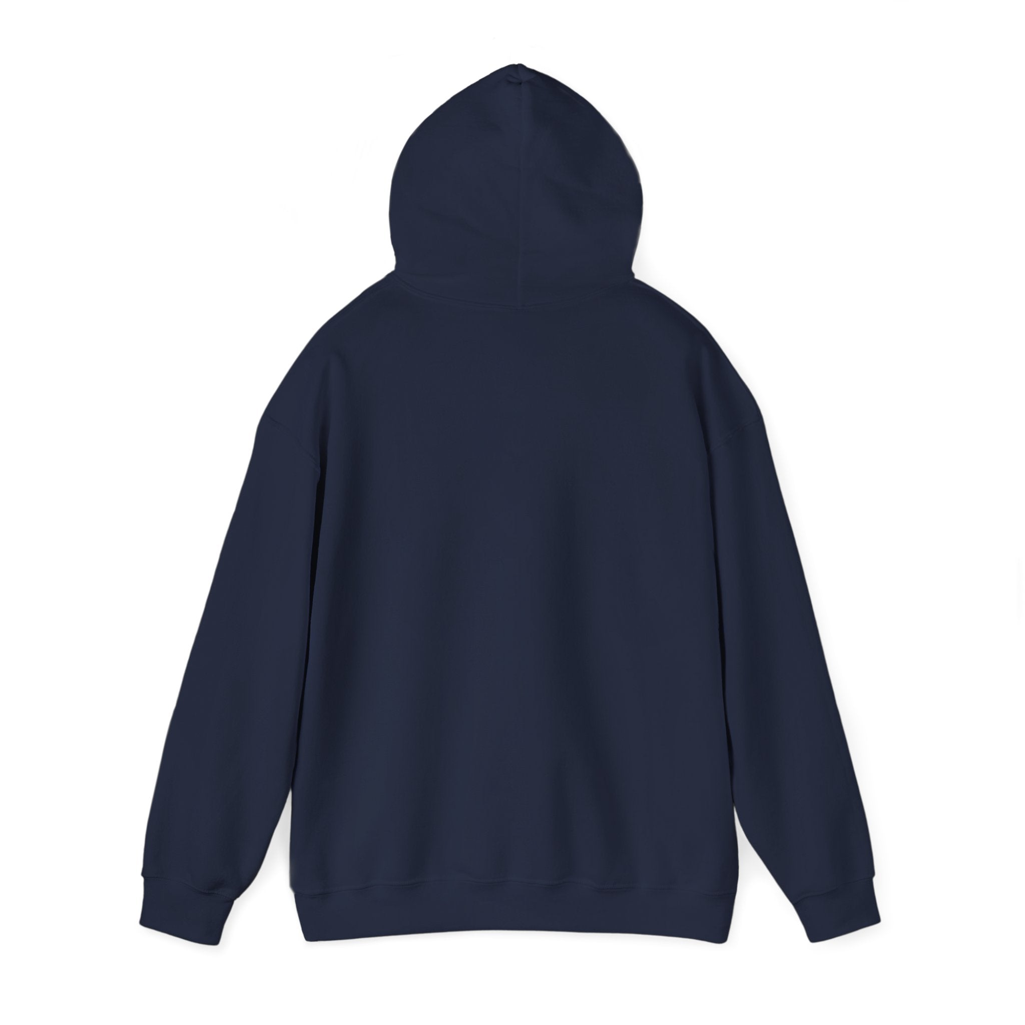 Sun-Bleached Prairie Patch Hoodie