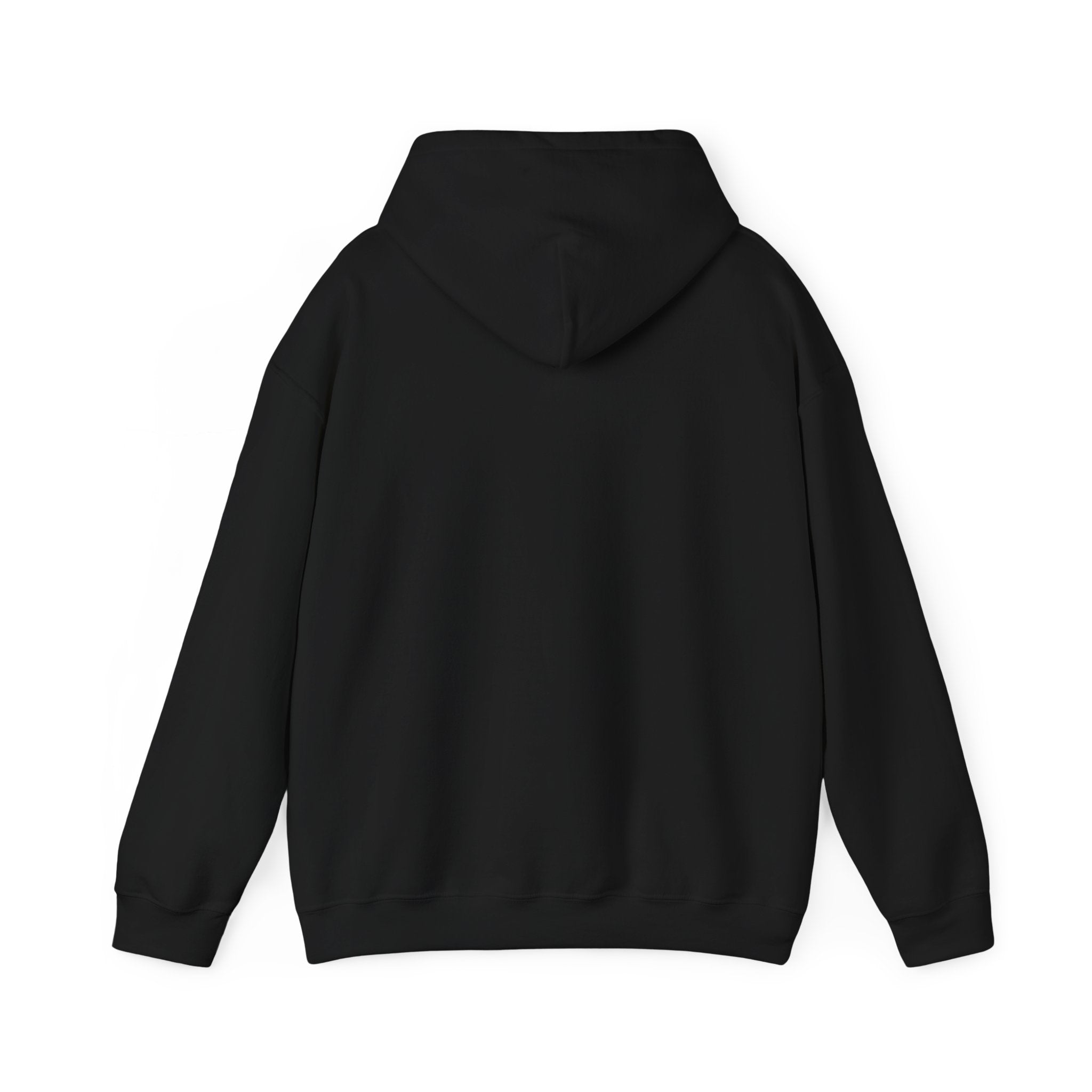 Sun-Bleached Prairie Patch Hoodie