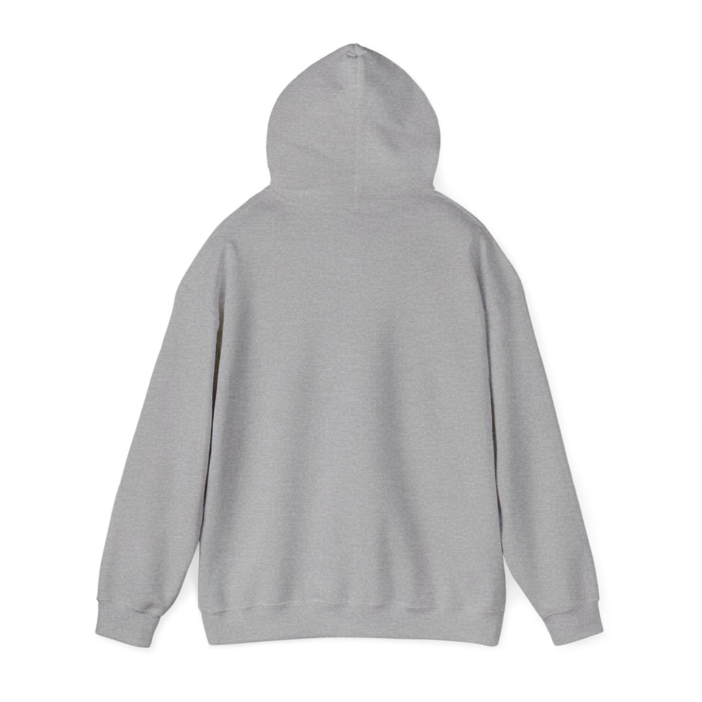 Sun-Bleached Prairie Patch Hoodie