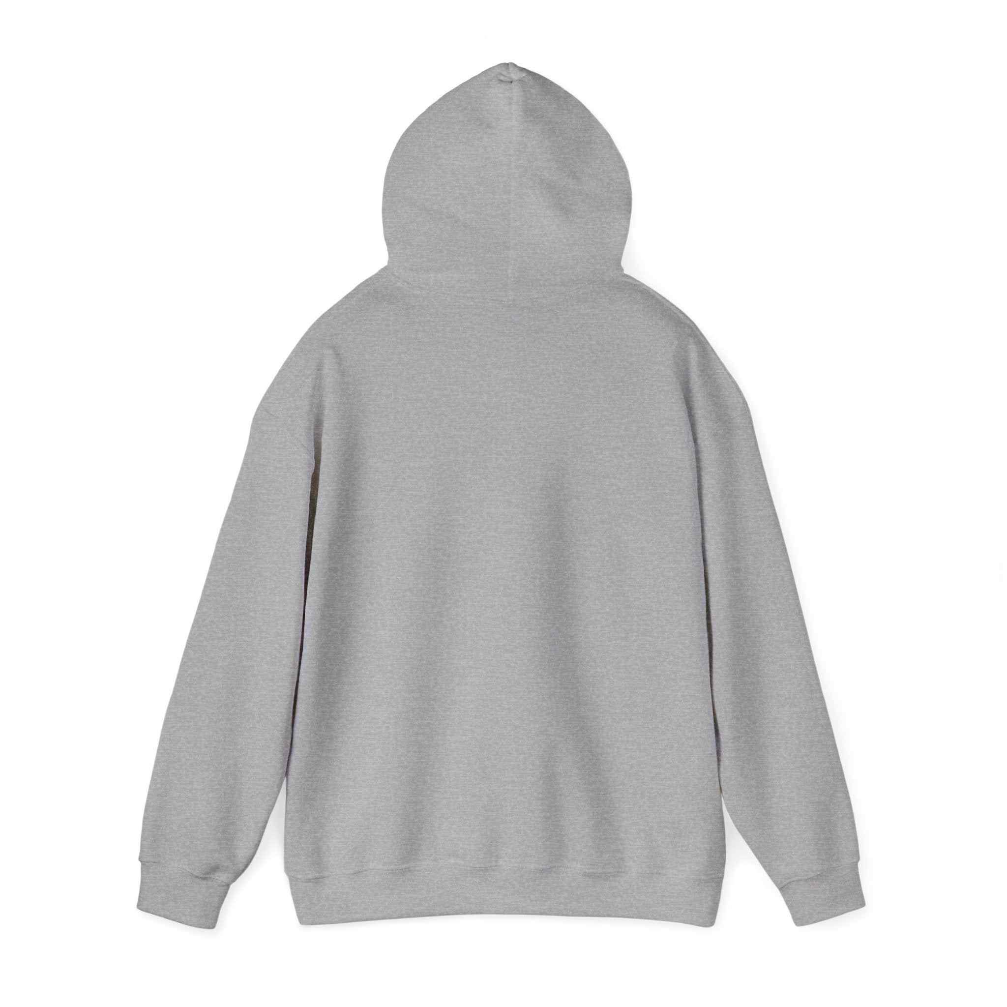 Sun-Bleached Prairie Patch Hoodie
