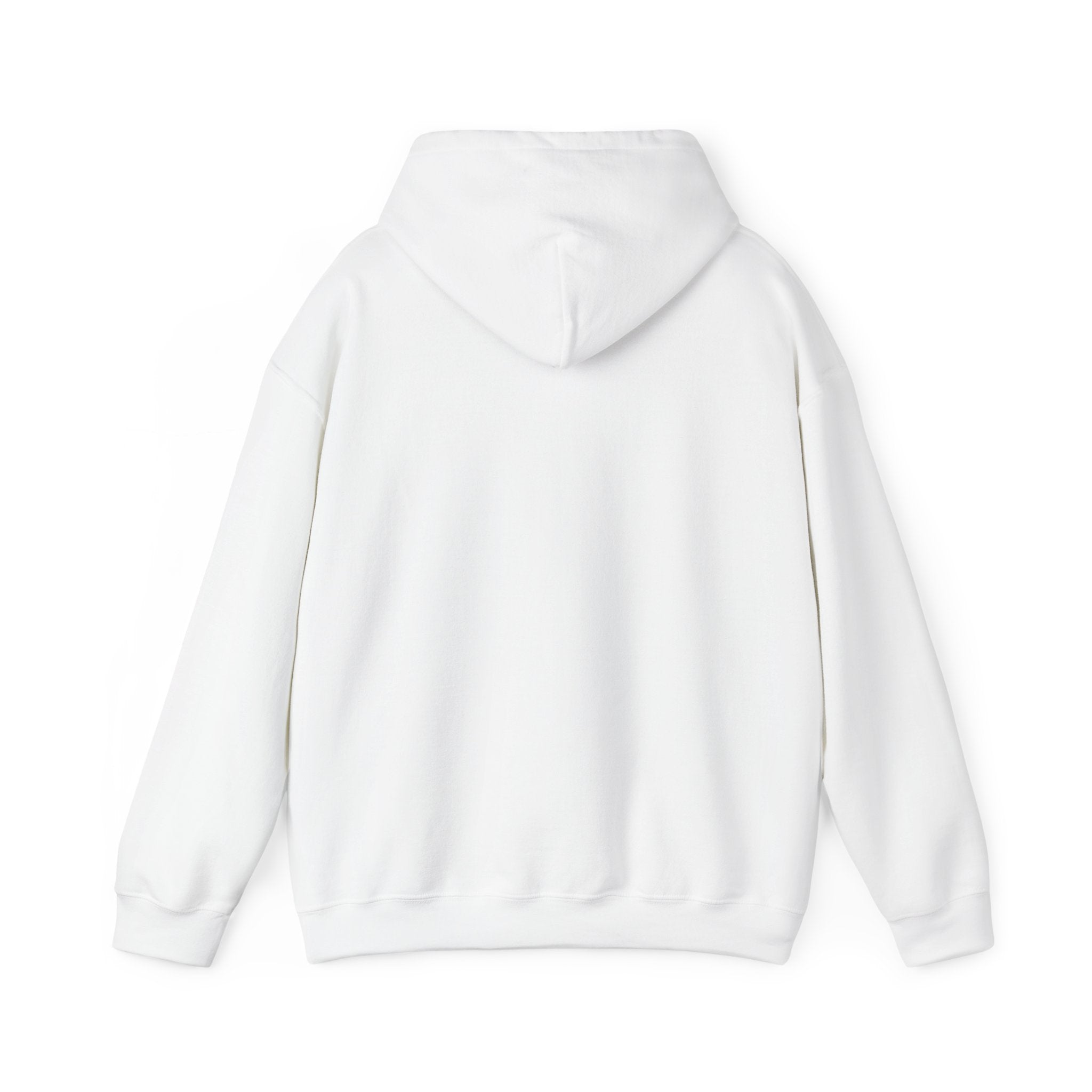 Sun-Bleached Prairie Patch Hoodie