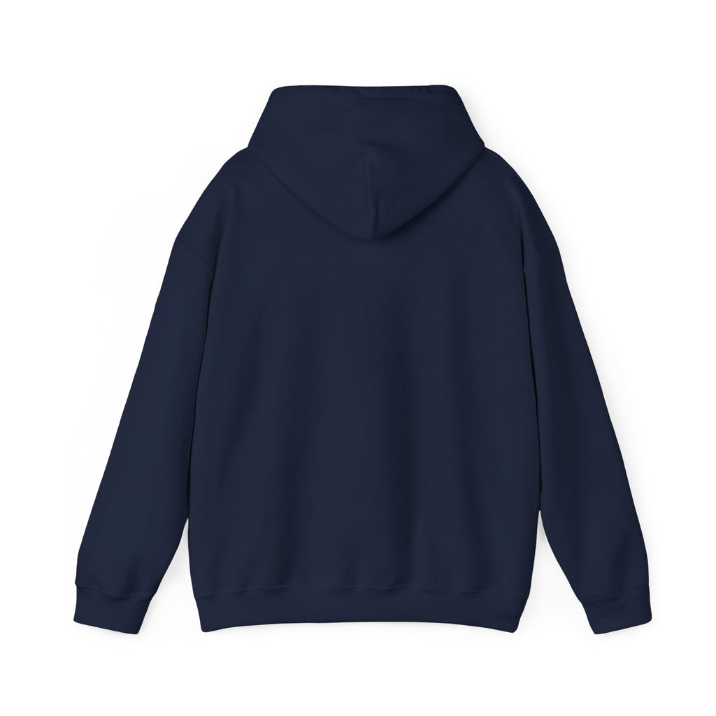 Sun-Bleached Prairie Patch Hoodie