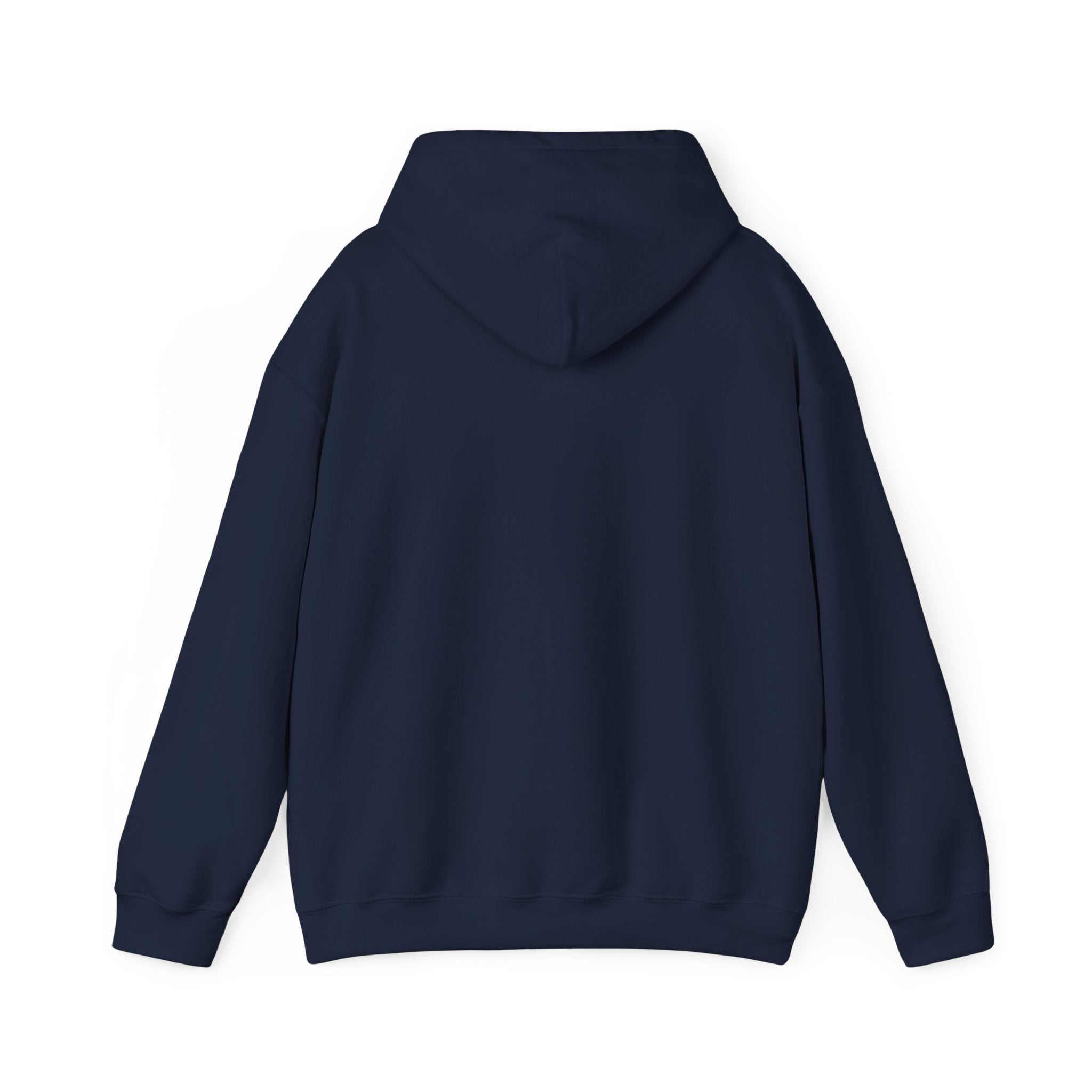 Sun-Bleached Prairie Patch Hoodie