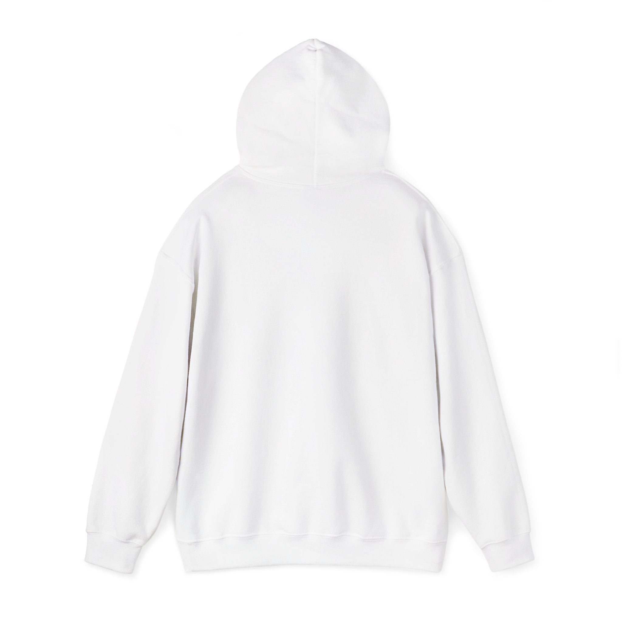 Sun-Bleached Prairie Patch Hoodie