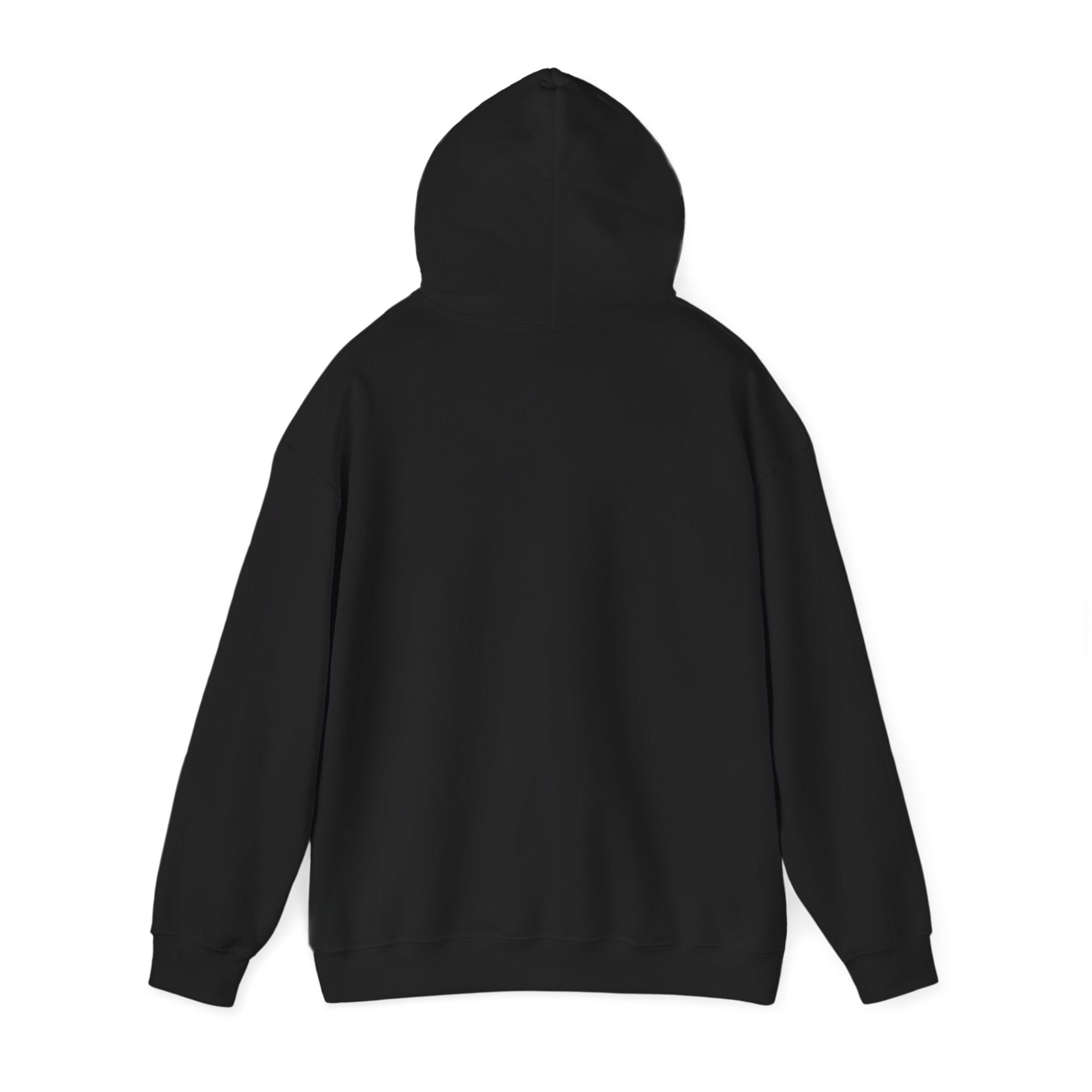 Sun-Bleached Prairie Patch Hoodie